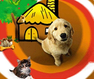 北京金凱利寵物樂園 公司網(wǎng)站設(shè)計（保密）